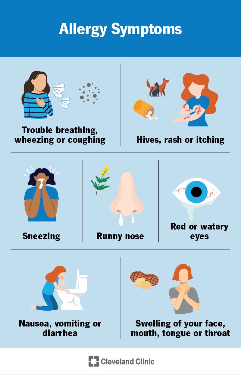 Allergy symptoms include trouble breathing, itching, sneezing, runny nose, cough, rash, vomiting, swelling and more