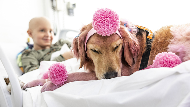Therapy dog with child at hospital
